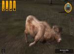 Deer Hunter Tournament