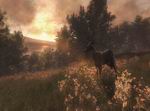 The Hunter