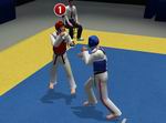 Tae Kwon Do World Champion