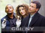 CSI: NY
