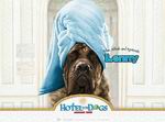 Hotel for Dogs