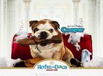 Hotel for Dogs