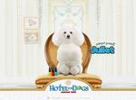 Hotel for Dogs