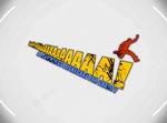 AaaaaAAaaaAAAaaAAAAaAAAAA!!! -- A Reckless Disregard for Gravity