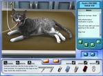 Imagine: Pet Hospital