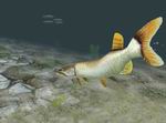 In-Fisherman Freshwater Trophies