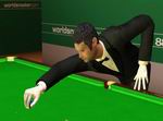 WSC Real 09: World Snooker Championship