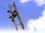 Rise of Flight