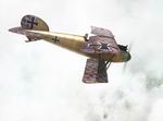 Rise of Flight
