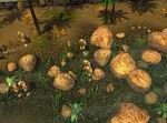 Shadows of War