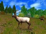 Hunting Unlimited 2010