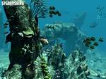 Spearfishing