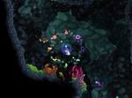 Aquaria