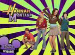 Hannah Montana: The Movie Game