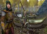The Lord of the Rings Online: Siege of Mirkwood
