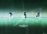 Cricket Revolution