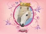 Pony Friends 2