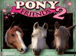 Pony Friends 2