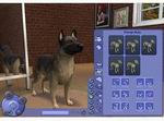 The Sims 2: Fun with Pets Collection