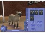 The Sims 2: Fun with Pets Collection