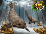 Simplz: Zoo