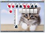 SolSuite 2010