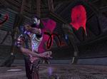 EverQuest 2: Complete Collection