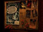 Delaware St. John Volume 1: The Curse of Midnight Manor
