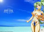 Soul Link