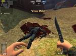 Mercenary Wars