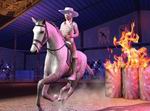 My Horse Gang