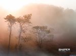 Sniper: Ghost Warrior
