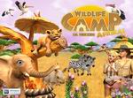 Wildlife Camp: In the Heart of Africa