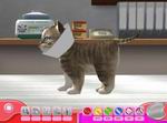 Paws & Claws Pet Vet 2: Healing Hands