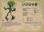 Emporea