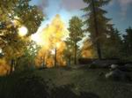 3D Hunting 2010