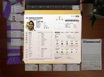FIFA Manager 11