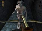 Chronicles of a Vampire Hunter