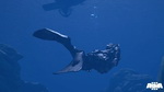 ARMA III