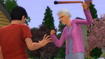 The Sims 3: Generations