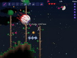 Terraria