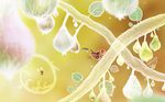 Botanicula