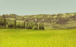 Agricultural Simulator 2013