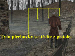 0000000484_n01.jpg (75351 bytes)