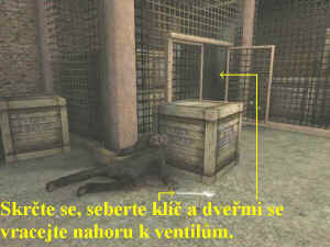 0000006863_n07.jpg (77178 bytes)